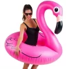 Giant Pink Flamingo Float