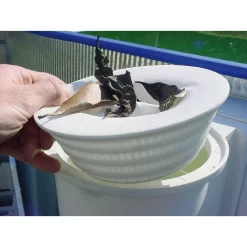 GRE Skimmer Filter 10 Units -Pool Supplies Store gre skimmer filter 10 units 2