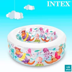 Intex Inflatable Aquarium Pool -Pool Supplies Store intex inflatable aquarium pool 4